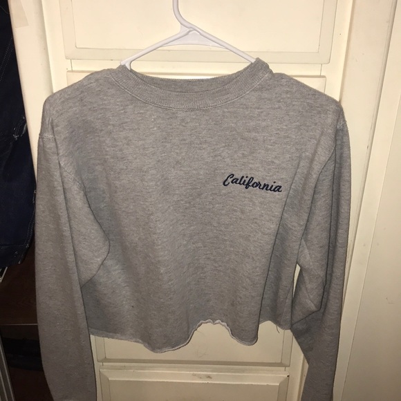 Brandy Melville Sweaters - brandy melville california cropped hoodie